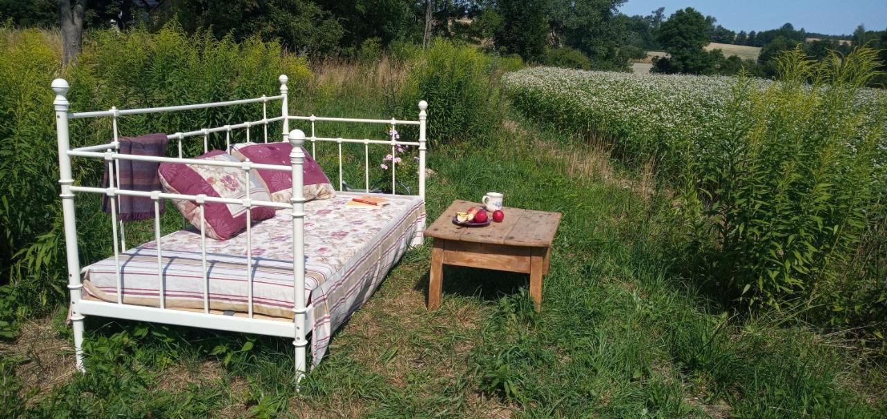 Powidoki Apartment Grudza Екстериор снимка